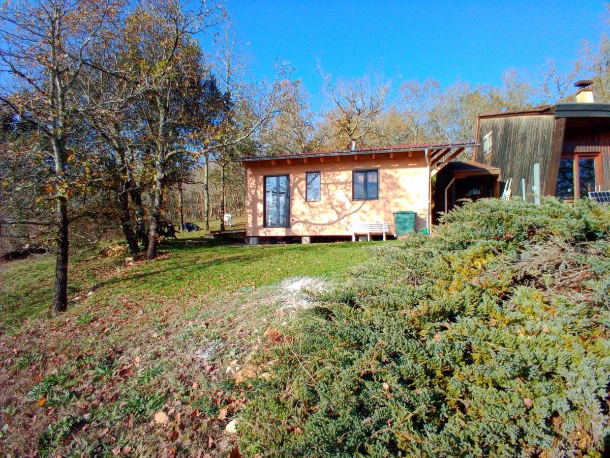 Maison Dans Un Ecrin De Verdure Сен-Леон-сюр-Везер Экстерьер фото